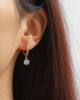 Picture of Earrings